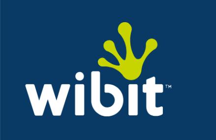 Wibit Sports